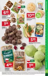 Gazetka promocyjna Stokrotka - Gazetka - ważna od 25.12 do 25.12.2024 - strona 49 - produkty: Piec, Warzywa, Ziemniaki, Sałat, Buraki