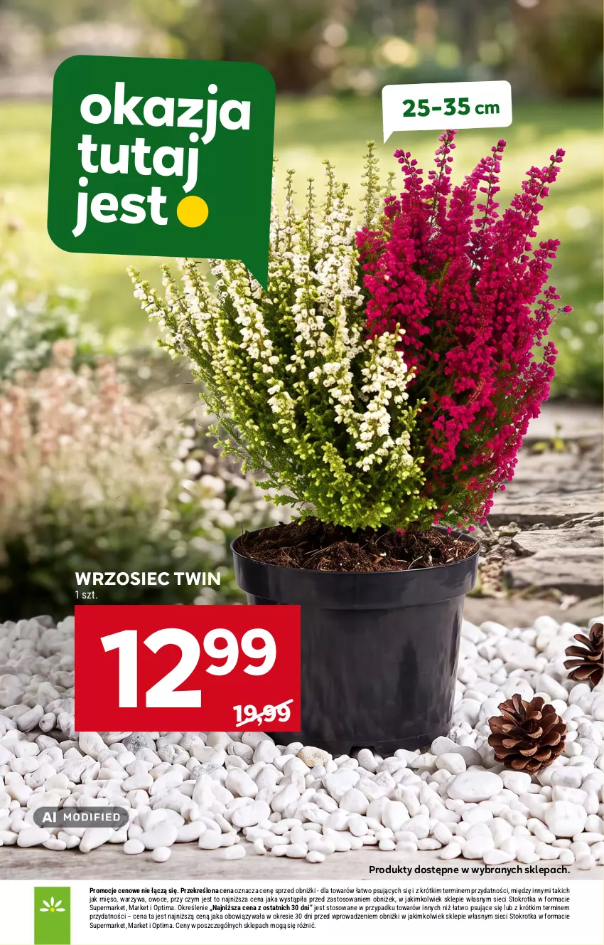 Gazetka promocyjna Stokrotka - Market - ważna 24.09 do 30.09.2026 - strona 29 - produkty: Mięso, Optima, Owoce, Warzywa