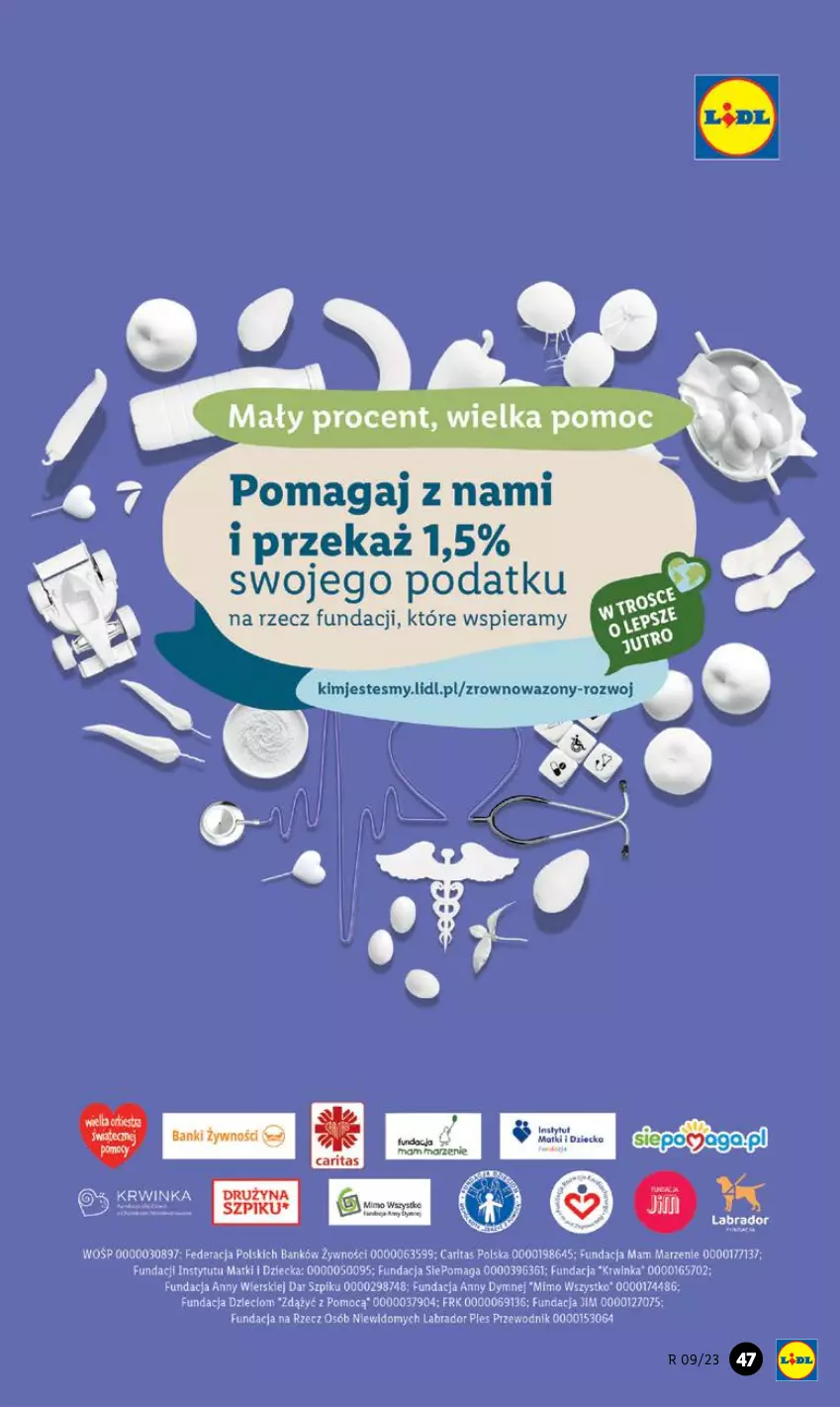 Gazetka promocyjna Lidl - GAZETKA - ważna 27.02 do 04.03.2023 - strona 47