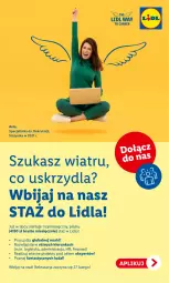 Gazetka promocyjna Lidl - GAZETKA - Gazetka - ważna od 04.03 do 04.03.2023 - strona 51 - produkty: Fanta, Fa
