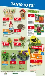 Gazetka promocyjna E Leclerc - Gazetka - ważna od 24.03 do 24.03.2025 - strona 13 - produkty: Tulipan, Vita C, Bukiet