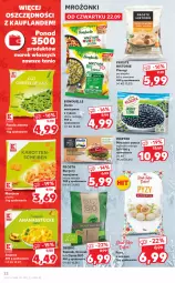 Gazetka promocyjna Kaufland - OFERTA TYGODNIA - Gazetka - ważna od 28.09 do 28.09.2022 - strona 22 - produkty: Pierogi, Frosta, Ryż, Bonduelle, Ananas, Fasola, Burger, Owoce, Groszek, Szpinak, Hortex, Fa