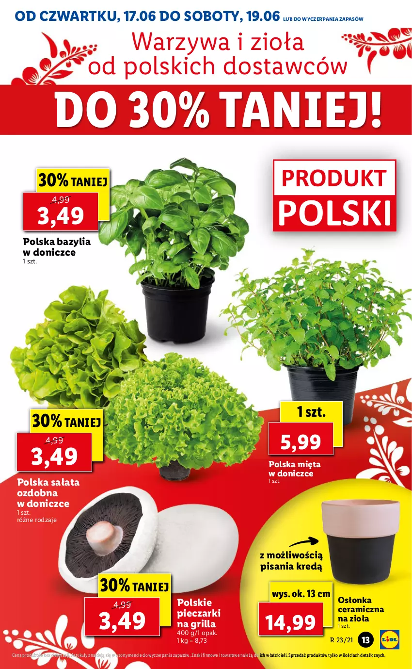 Gazetka promocyjna Lidl - GAZETKA - ważna 17.06 do 19.06.2021 - strona 13 - produkty: Bazyl, Bazylia, Grill, Mięta, Osłonka, Piec, Sałat, Warzywa