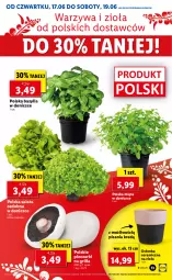 Gazetka promocyjna Lidl - GAZETKA - Gazetka - ważna od 19.06 do 19.06.2021 - strona 13 - produkty: Piec, Warzywa, Sałat, Bazyl, Bazylia, Grill, Mięta, Osłonka
