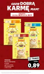Gazetka promocyjna Kaufland - Mocny Start - Gazetka - ważna od 22.11 do 22.11.2023 - strona 17 - produkty: Kurczak, Sos, Pur, Friskies, Purina, Fa