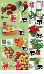 Gazetka promocyjna Kaufland - Mocny Start - Gazetka - ważna od 22.11 do 22.11.2023 - strona 19 - produkty: Cebula, Por, Koc, Storczyk, Buraki