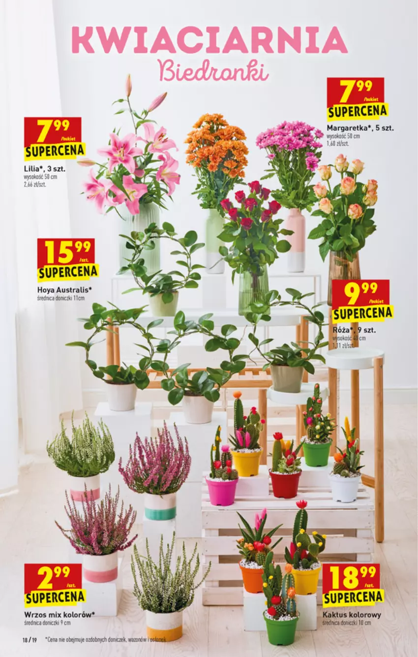 Gazetka promocyjna Biedronka - W tym tygodniu - ważna 13.09 do 18.09.2021 - strona 18 - produkty: Kaktus, Róża, Sok