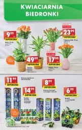 Gazetka promocyjna Biedronka - W tym tygodniu - Gazetka - ważna od 06.04 do 06.04.2022 - strona 15 - produkty: Sok, AEG, Tulipan, Róża, Wazon, Bukiet