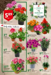 Gazetka promocyjna Auchan - przeNISKIE CENY przeWSPANIAŁE okazje Hipermarkety - Gazetka - ważna od 27.04 do 27.04.2022 - strona 24 - produkty: Surf, Kask