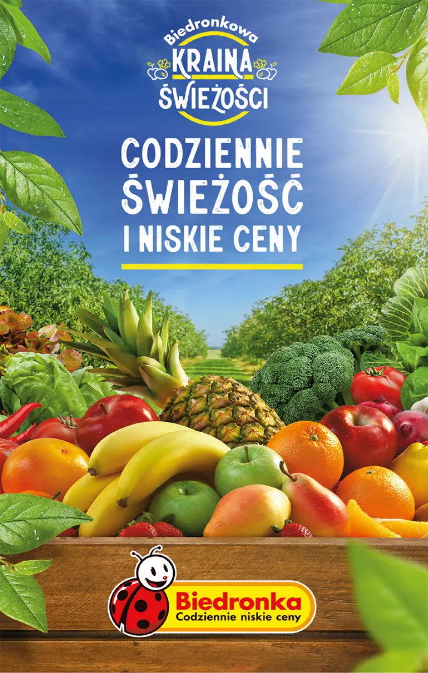 Gazetka promocyjna Biedronka - Od czwartku - ważna 20.07 do 26.07.2023 - strona 57