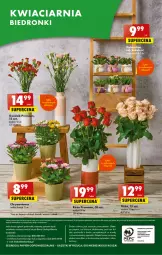 Gazetka promocyjna Biedronka - Od czwartku - Gazetka - ważna od 26.07 do 26.07.2023 - strona 56 - produkty: Sok, Gra, Telefon, Papier, Róża, Chryzantema, Kosz, Wazon, Olej, Fa