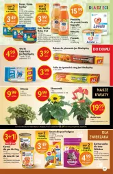 Gazetka promocyjna Delikatesy Centrum - Gazetka Delikatesy Centrum - Gazetka - ważna od 11.08 do 11.08.2021 - strona 27 - produkty: Piec, Kurczak, Jan Niezbędny, Marchewka, Warzywa, Sok, Ser, Gerber, Lovela, Morela, Whiskas, Mleczko, Winogrona, Rękaw do pieczenia, Deser, Wino, Pedigree, Sucha karma, Nektar
