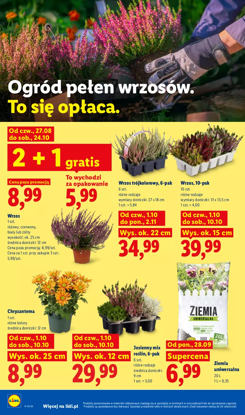 Gazetka promocyjna Lidl - Gazetka ważna od 1.10 do 3.10 - ważna 01.10 do 03.10.2026 - strona 102 - produkty: Chryzantema, Gra, Ogród, Sok