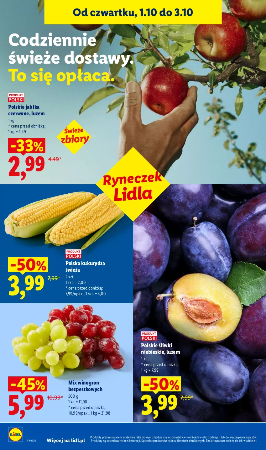Gazetka promocyjna Lidl - Gazetka ważna od 1.10 do 3.10 - ważna 01.10 do 03.10.2026 - strona 48 - produkty: Jabłka, Kukurydza, Wino