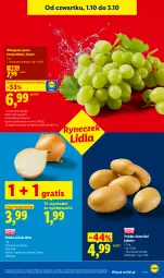 Gazetka promocyjna Lidl - Gazetka ważna od 1.10 do 3.10 - Gazetka - ważna od 03.10 do 03.10.2026 - strona 47 - produkty: Cebula, Gra, Ziemniaki, Winogrona, Wino, Olej