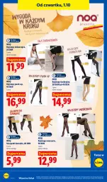 Gazetka promocyjna Lidl - Gazetka ważna od 1.10 do 3.10 - Gazetka - ważna od 03.10 do 03.10.2026 - strona 94 - produkty: Top, Karp, Rajstopy, Skarpetki, Tera