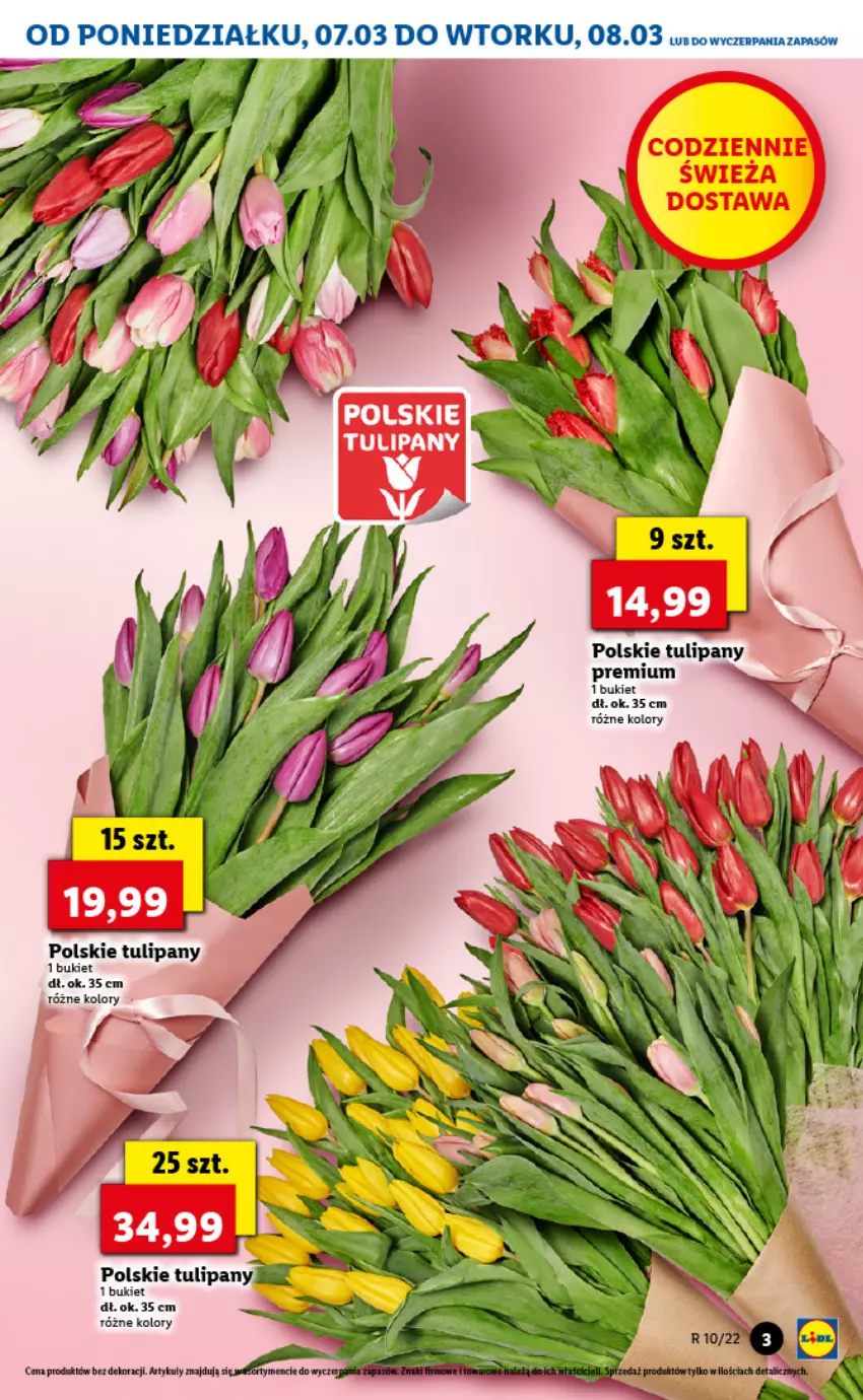 Gazetka promocyjna Lidl - GAZETKA - ważna 07.03 do 09.03.2022 - strona 3 - produkty: Bukiet, Tulipan