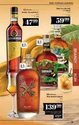 Gazetka promocyjna PoloMarket - Katalog alkoholi 11/2026 - Gazetka - ważna od 01.07 do 01.07.2026 - strona 19 - produkty: Rum, Gin, Brandy