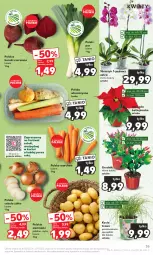 Gazetka promocyjna Kaufland - Gazetka tygodnia - Gazetka - ważna od 22.11 do 22.11.2023 - strona 35 - produkty: Cebula, Por, Koc, Ziemniaki, Gwiazda, Storczyk, Buraki, Kocia trawa, Owoce, Grunt