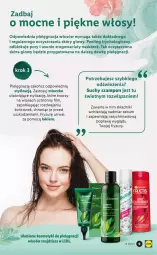 Gazetka promocyjna Lidl - TYDZIEŃ KOBIET - CELEBRUJ KOBIECOŚĆ Z LIDLEM! - Gazetka - ważna od 10.03 do 10.03.2021 - strona 9 - produkty: Pielęgnacja włosów, Por, Kosmetyki do pielęgnacji, Mleczko, Szampon, Peeling, Suchy szampon, Lakier, Fa