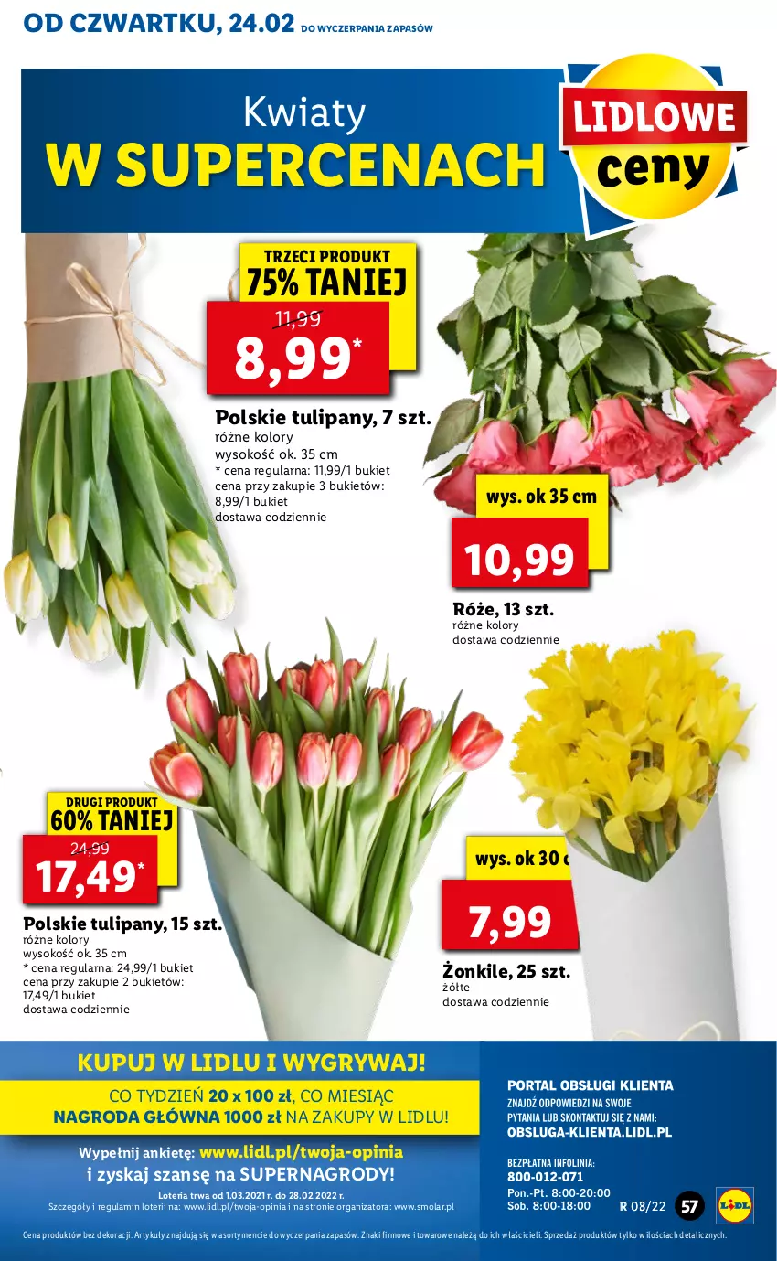 Gazetka promocyjna Lidl - GAZETKA - ważna 24.02 do 26.02.2022 - strona 57 - produkty: Bukiet, Gry, Mola, Sok, Tulipan