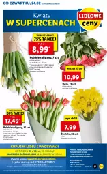 Gazetka promocyjna Lidl - GAZETKA - Gazetka - ważna od 26.02 do 26.02.2022 - strona 57 - produkty: Sok, Gry, Tulipan, Mola, Bukiet