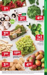 Gazetka promocyjna Stokrotka - Market - Gazetka - ważna od 04.06 do 04.06.2025 - strona 7 - produkty: Piec, Warzywa, Por, Gra, Pietruszka, Ziemniaki, Winogrona, Limonka, Owoce, Wino, Grill, Mango, Rzodkiewka, Mięso, Szpinak