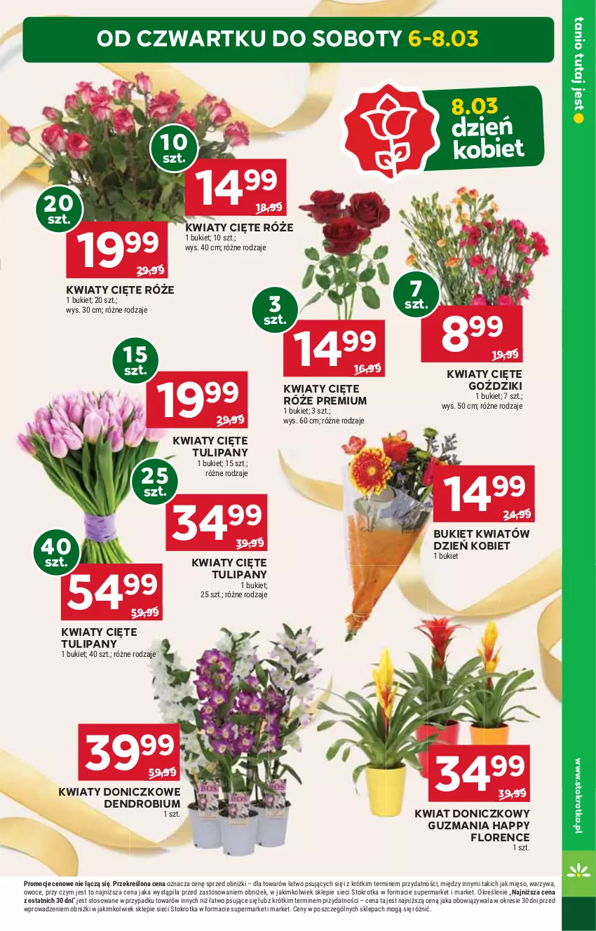 Gazetka promocyjna Stokrotka - Supermarket Opole/Radom - ważna 06.03 do 12.03.2025 - strona 7 - produkty: Bukiet, HP, Kwiaty cięte, Tulipan