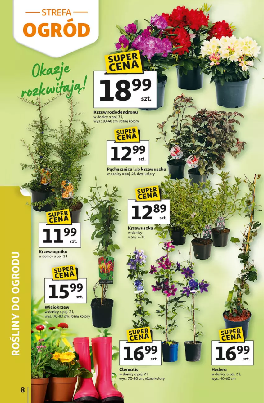 Gazetka promocyjna Auchan - 30 Lat Hipermarket - ważna 09.04 do 15.04.2026 - strona 8 - produkty: Fa