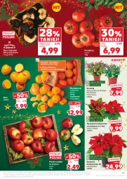 Gazetka promocyjna Kaufland - Gazetka tygodnia - Gazetka - ważna od 23.12 do 23.12.2025 - strona 19 - produkty: Mandarynki, Por, Kaktus, Kaki, Gwiazda, Pomidory, Jabłka