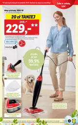 Gazetka promocyjna Lidl - GAZETKA - Gazetka - ważna od 10.04 do 10.04.2022 - strona 43 - produkty: Mop, Mop parowy, Dywan