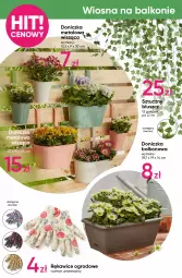 Gazetka promocyjna Pepco - Koszulki dla całej rodziny - Gazetka - ważna od 24.04 do 24.04.2024 - strona 8 - produkty: Por, Koc, Rękawice