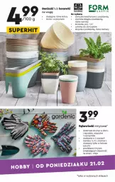Gazetka promocyjna Biedronka - Okazje tygodnia - Gazetka - ważna od 09.03 do 09.03.2022 - strona 13 - produkty: Konewka, Storczyk, Olej, Hobby, Osłonka