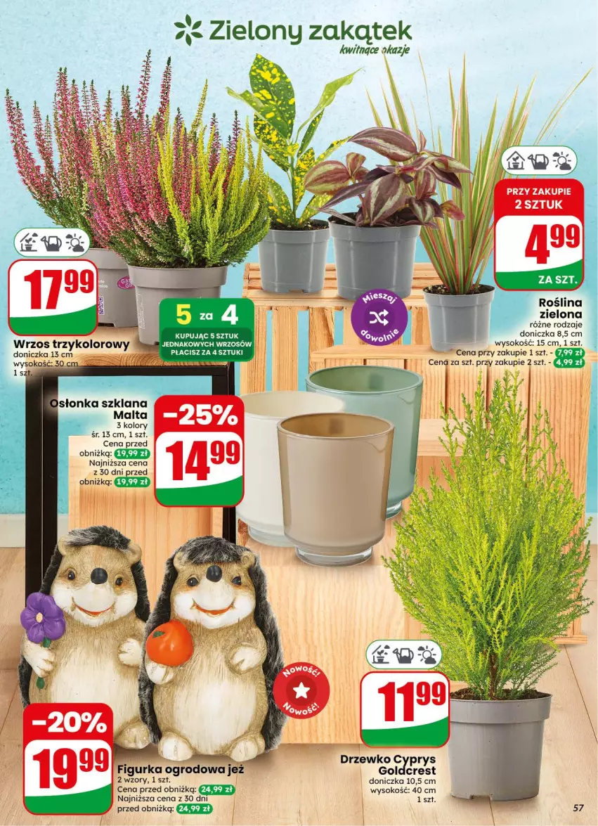 Gazetka promocyjna Dino - Gazetka 38 / 2026 - ważna 16.09 do 22.09.2026 - strona 57 - produkty: LANA, Sok