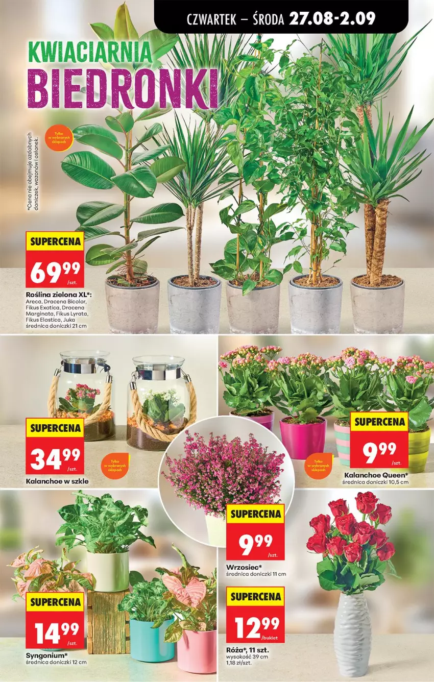Gazetka promocyjna Biedronka - Od Czwartku - ważna 27.08 do 02.09.2026 - strona 79 - produkty: BIC, Fa, Gin, Kalanchoe
