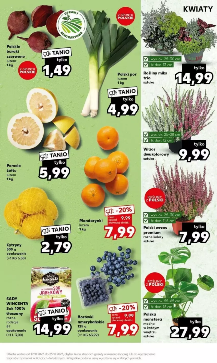 Gazetka promocyjna Kaufland - ważna 23.10 do 25.10.2023 - strona 20 - produkty: Cytryny, Mandarynki, Sok, Tera