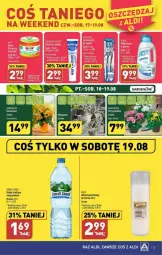 Gazetka promocyjna Aldi - Gazetka - ważna od 19.08 do 19.08.2023 - strona 16 - produkty: LANA, Znicz, Woda