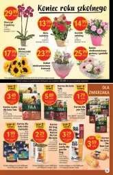 Gazetka promocyjna Delikatesy Centrum - Gazetka DC24 - Gazetka - ważna od 29.06 do 29.06.2022 - strona 35 - produkty: Kurczak, Warzywa, Sos, Gerber, Róża, Pasztet, Królik, Storczyk, Bukiet, Fanta, Felix, Fa
