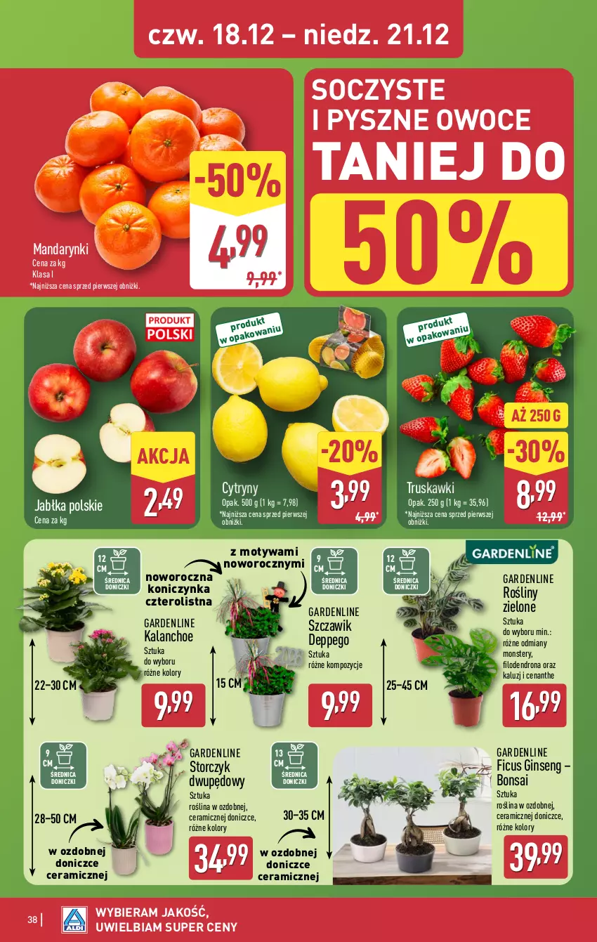 Gazetka promocyjna Aldi - Pełna oferta - ważna 15.12 do 21.12.2025 - strona 38 - produkty: Cytryny, Gin, Jabłka, Kalanchoe, Mandarynki, Owoce, Storczyk, Truskawki