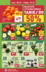 Gazetka promocyjna Aldi - Pełna oferta - Gazetka - ważna od 21.12 do 21.12.2025 - strona 38 - produkty: Mandarynki, Gin, Truskawki, Cytryny, Kalanchoe, Storczyk, Owoce, Jabłka