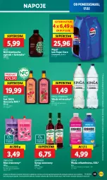 Gazetka promocyjna Lidl - GAZETKA - Gazetka - ważna od 19.02 do 19.02.2025 - strona 45 - produkty: Sok, Por, Mus, Kolendra, Róża, Ogórek, Napoje, Pepsi, Syrop, Oshee, Woda mineralna, Woda, Herbapol, Magnez