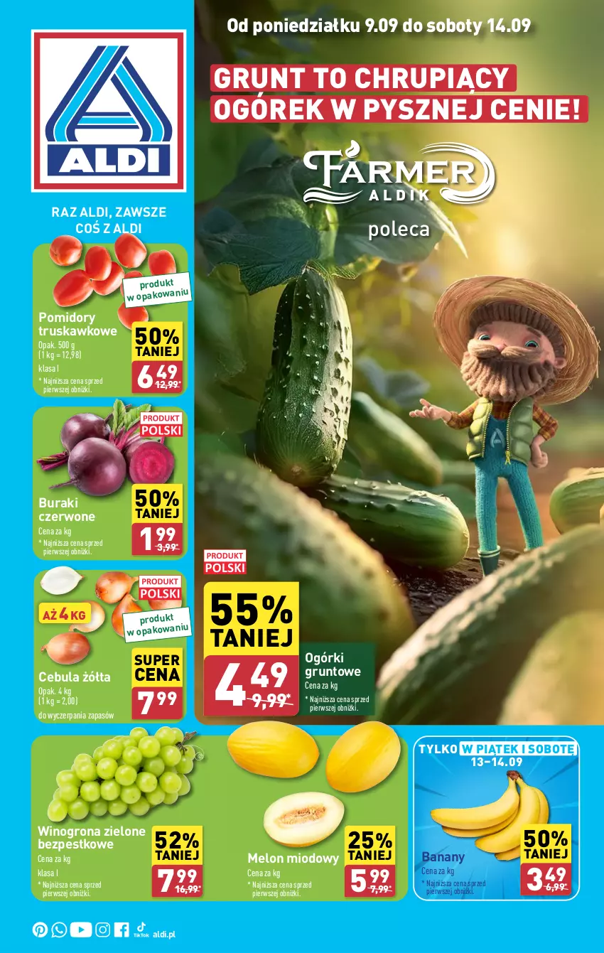 Gazetka promocyjna Aldi - Farmer ALDIK poleca świeże owoce i warzywa - ważna 09.09 do 14.09.2024 - strona 1 - produkty: Banany, Buraki, Cebula, Grunt, Melon, Ogórek, Pomidory, Wino, Winogrona