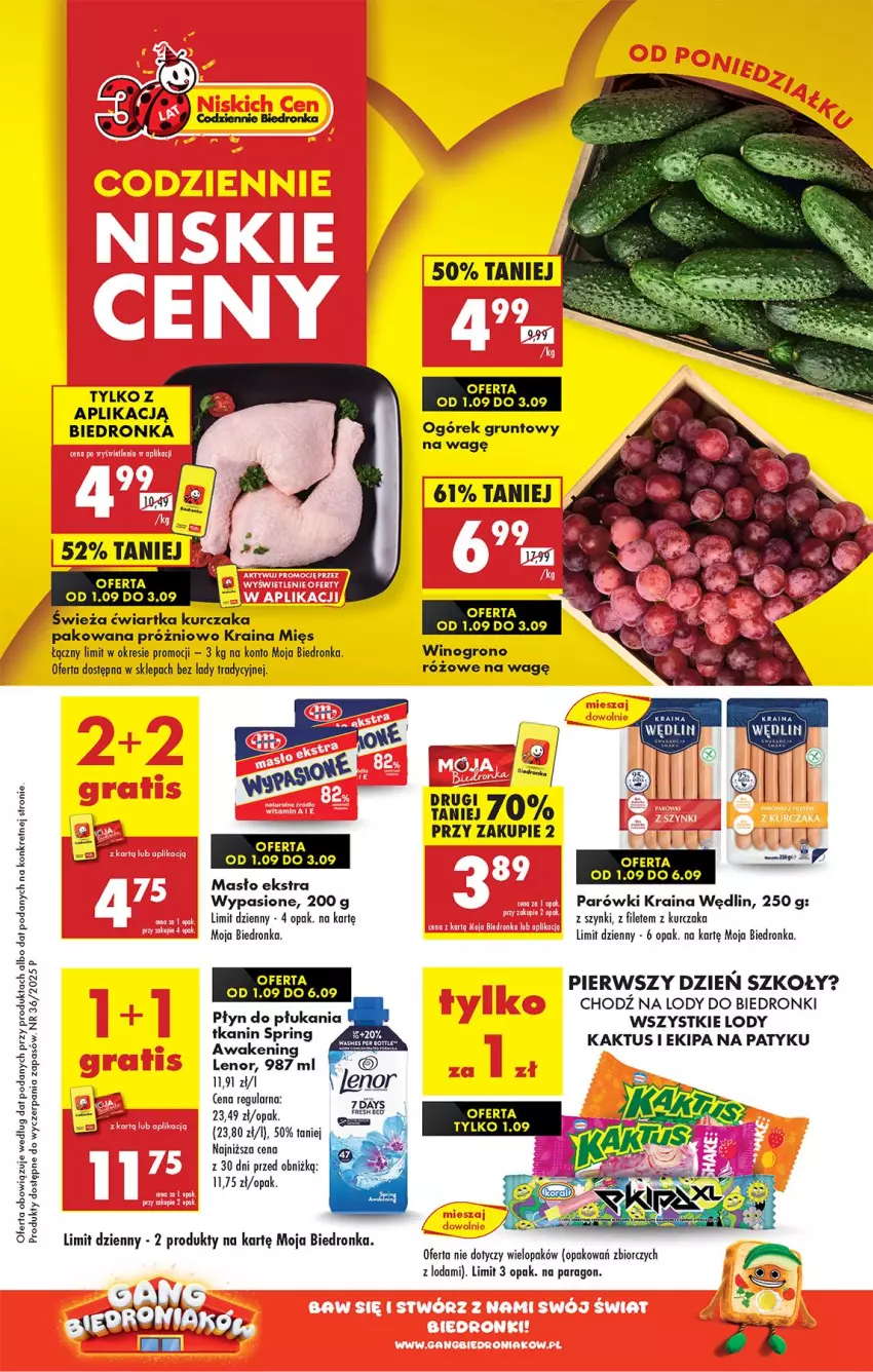 Gazetka promocyjna Biedronka - Od Poniedziałku - ważna 01.09 do 06.09.2025 - strona 1 - produkty: Grunt, Kaktus, Kret, Kurczak, Lenor, Lody, Ogórek, Parówki, Płyn do płukania, Wino