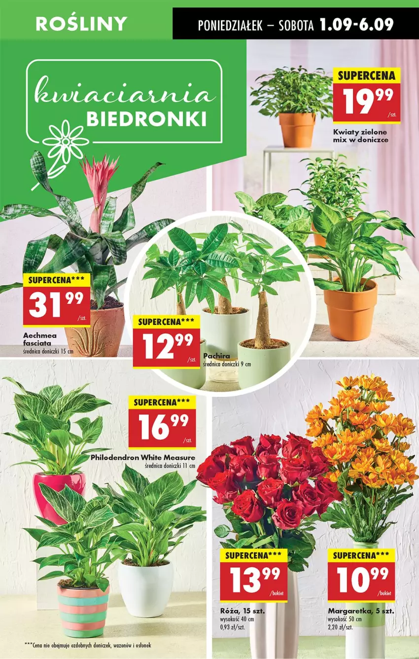 Gazetka promocyjna Biedronka - Od Poniedziałku - ważna 01.09 do 06.09.2025 - strona 17 - produkty: Fa, Róża, Sok, Wazon