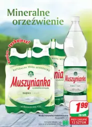 Gazetka promocyjna Dino - Gazetka 11/2024 - Gazetka - ważna od 19.03 do 19.03.2024 - strona 2 - produkty: Sok, Mus, Muszynianka, Woda mineralna, Woda, Magnez