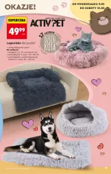 Gazetka promocyjna Biedronka - Okazje Tygodnia - Gazetka - ważna od 21.02 do 21.02.2026 - strona 29 - produkty: LEGO, Legowisko