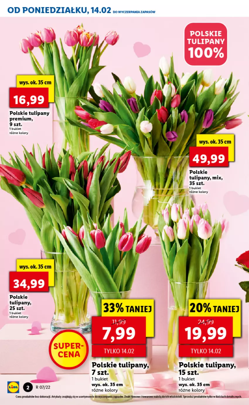 Gazetka promocyjna Lidl - GAZETKA - ważna 14.02 do 16.02.2022 - strona 2 - produkty: Bukiet, Tera, Tulipan