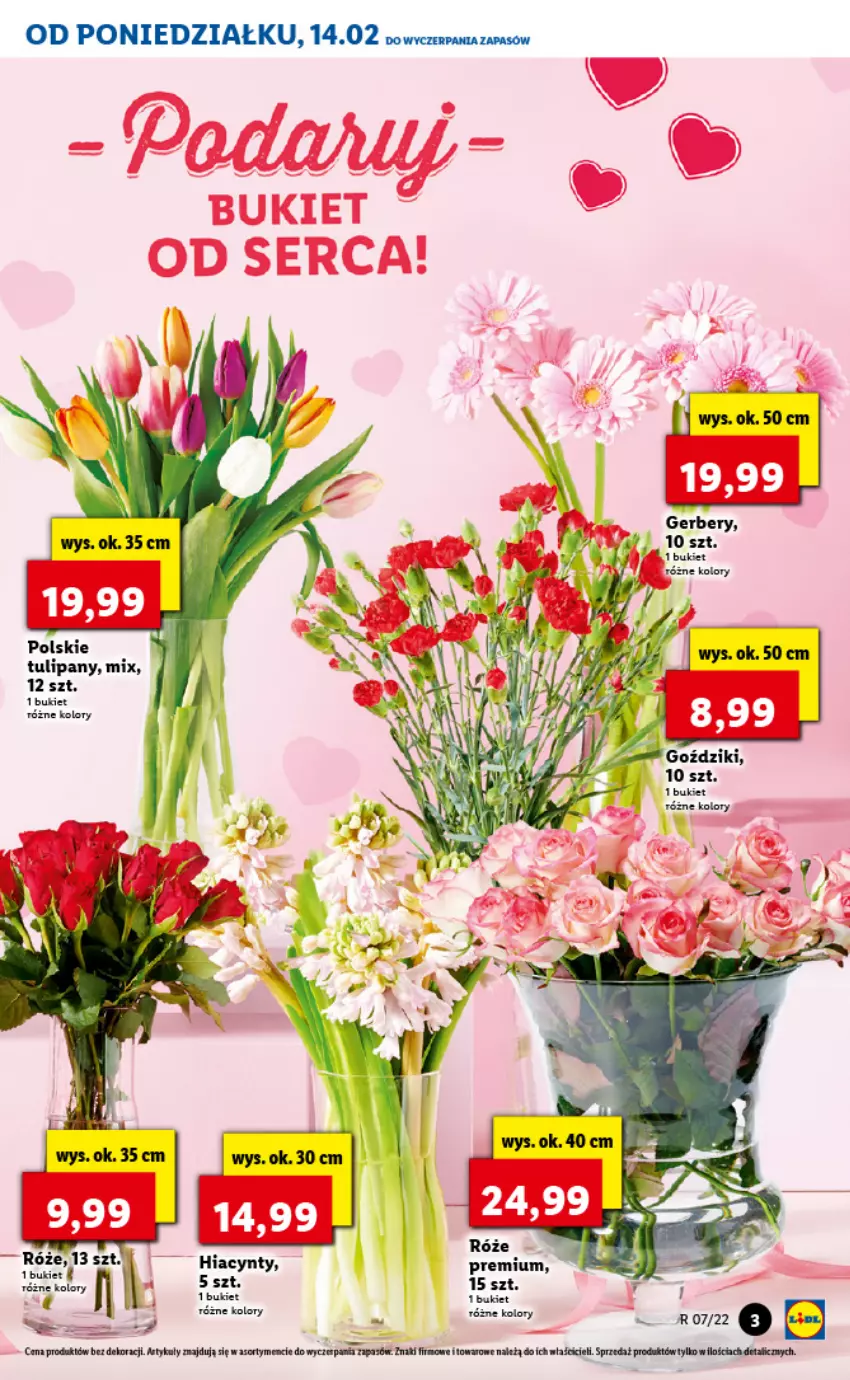 Gazetka promocyjna Lidl - GAZETKA - ważna 14.02 do 16.02.2022 - strona 3 - produkty: Bukiet, Tulipan