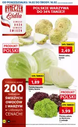 Gazetka promocyjna Lidl - GAZETKA - Gazetka - ważna od 16.02 do 16.02.2022 - strona 10 - produkty: Sałat, Miecz