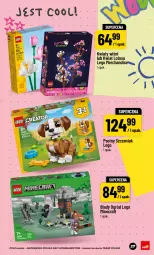 Gazetka promocyjna PoloMarket - Back to school - Gazetka - ważna od 10.09 do 10.09.2026 - strona 27 - produkty: Tera, Laur, LEGO, Ogród